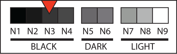 Body tone N3 swatch