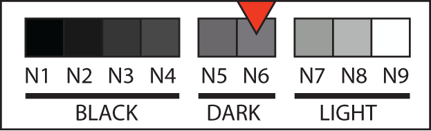 Body tone N6 swatch