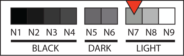 Body tone N7 swatch