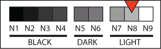 Body tone N8 swatch