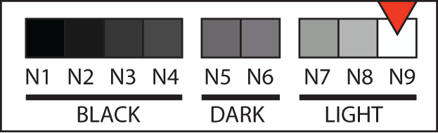 Body tone N9 swatch